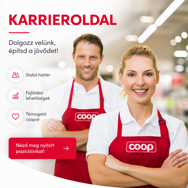 Karrieroldal
